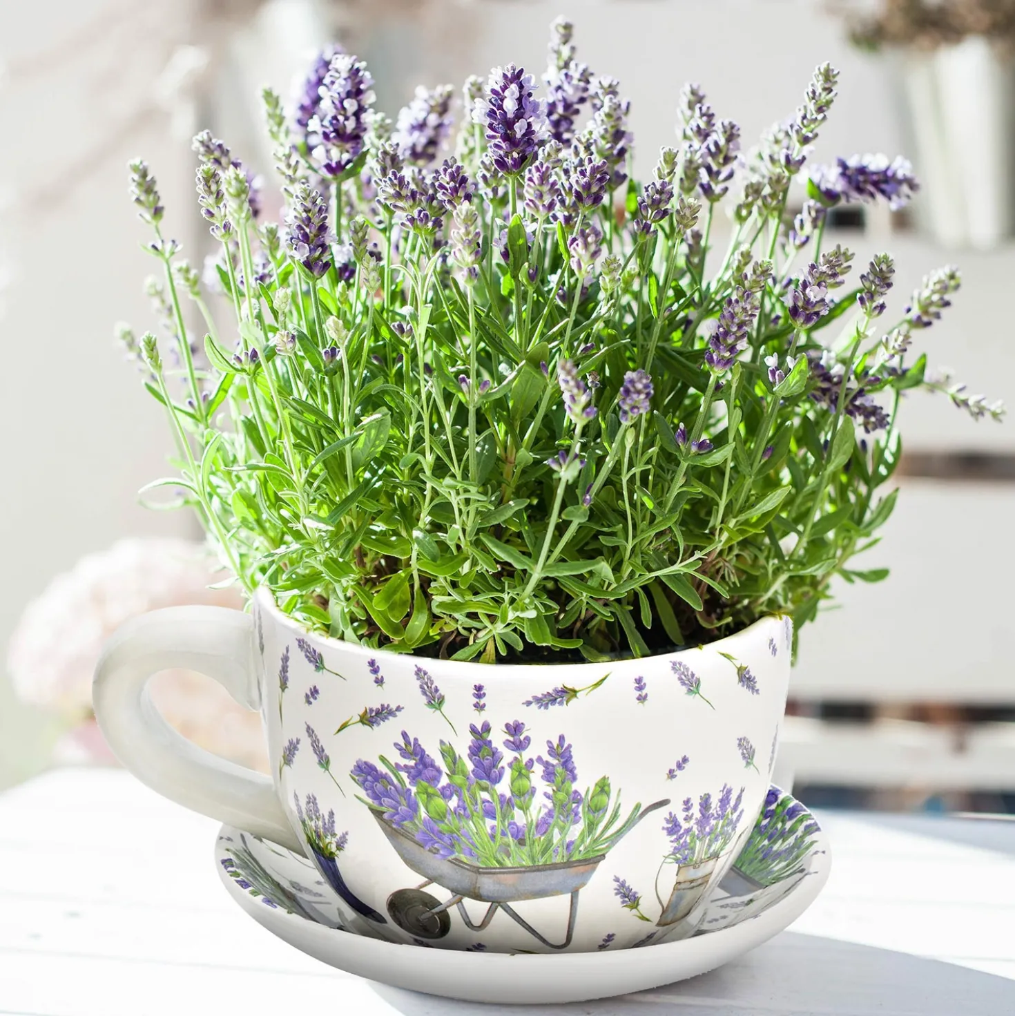 Blumentopf Pflanztasse "Lavendel" aus Keramik groß