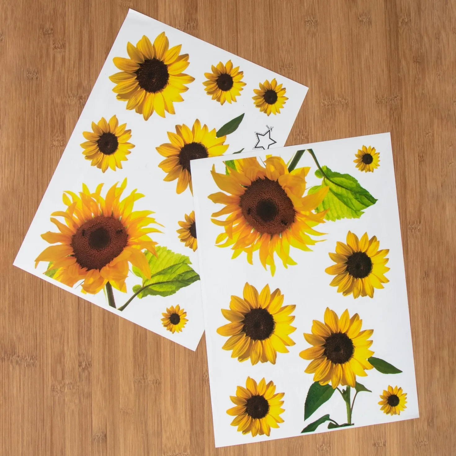 Mülltonnenaufkleber "Sonnenblumen", 15-tlg.