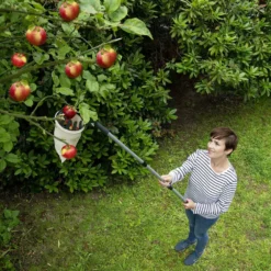 Obstsammler XL mit Teleskopstiel MAXIMEX