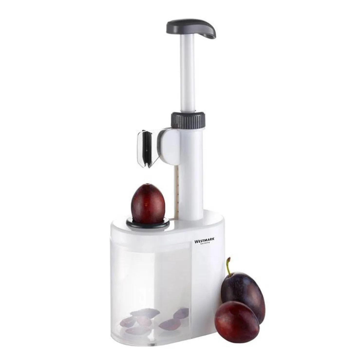 Pflaumenentsteiner Prunus – Westmark
