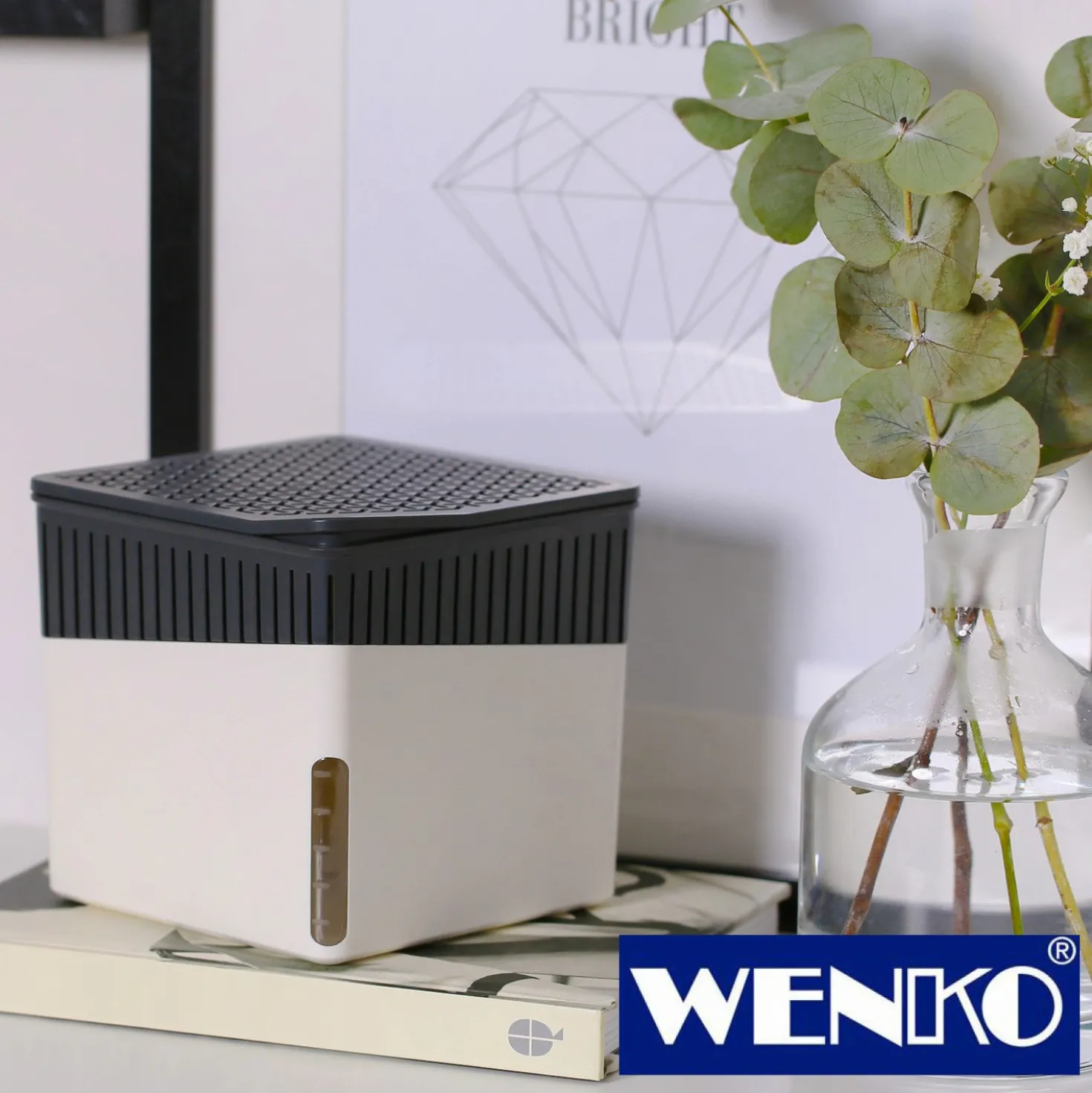 WENKO Raumentfeuchter Cube, Grau, 1000 g, 2er Set, Luftentfeuchter